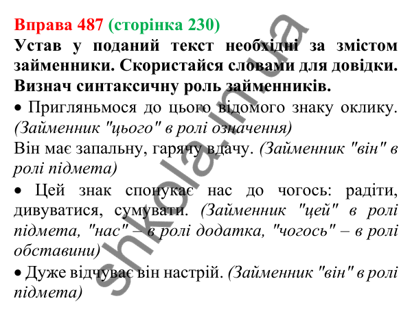 Відповідь до вправи 487 (с. 230) з української мови для 6 класу (Онатій, 2023): Займенник як частина мови