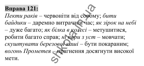 Вправа 121 Відповідь до вправи 121 (с. 48) з української мови для 6 класу (Заболотний, 2023): Фразеологія