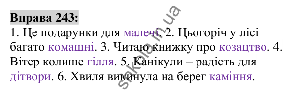 Вправа 243 Відповідь до вправи 243 (с. 94) з української мови для 6 класу (Заболотний, 2023): Іменник