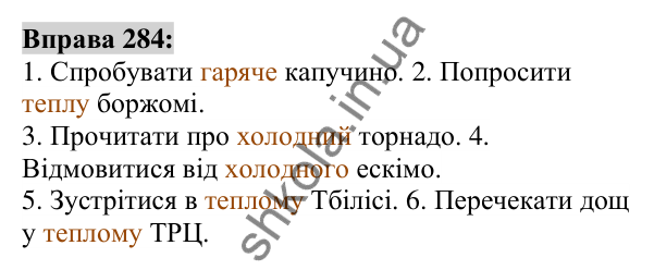 Вправа 284 Відповідь до вправи 284 (с. 109) з української мови для 6 класу (Заболотний, 2023): Іменник