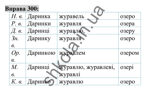Вправа 300 Відповідь до вправи 300 (с. 114) з української мови для 6 класу (Заболотний, 2023): Іменник