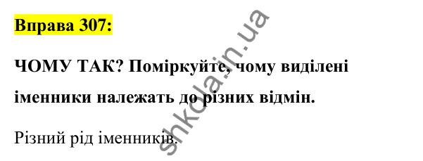 Вправа 307 Відповідь до вправи 307 (с. 116) з української мови для 6 класу (Заболотний, 2023): Іменник