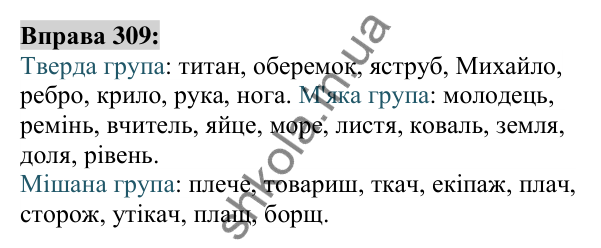 Вправа 309 Відповідь до вправи 309 (с. 117) з української мови для 6 класу (Заболотний, 2023): Іменник