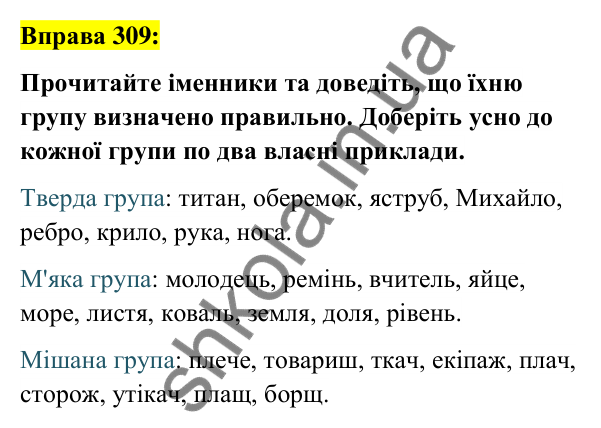 Вправа 309 Відповідь до вправи 309 (с. 117) з української мови для 6 класу (Заболотний, 2023): Іменник