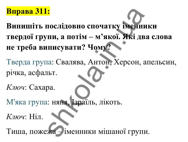 Вправа 311 Відповідь до вправи 311 (с. 117) з української мови для 6 класу (Заболотний, 2023): Іменник