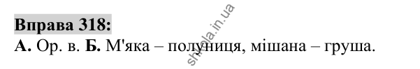 Вправа 318 Відповідь до вправи 318 (с. 119) з української мови для 6 класу (Заболотний, 2023): Іменник