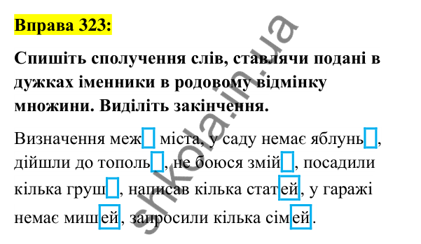 Вправа 323 Відповідь до вправи 323 (с. 121) з української мови для 6 класу (Заболотний, 2023): Іменник