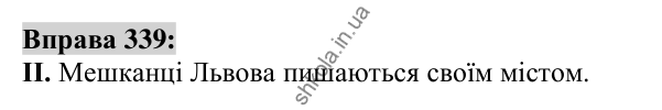 Вправа 339 Відповідь до вправи 339 (с. 128) з української мови для 6 класу (Заболотний, 2023): Іменник