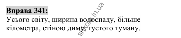 Вправа 341 Відповідь до вправи 341 (с. 128) з української мови для 6 класу (Заболотний, 2023): Іменник