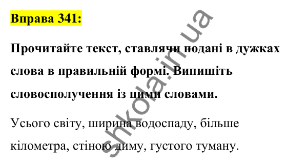 Вправа 341 Відповідь до вправи 341 (с. 128) з української мови для 6 класу (Заболотний, 2023): Іменник