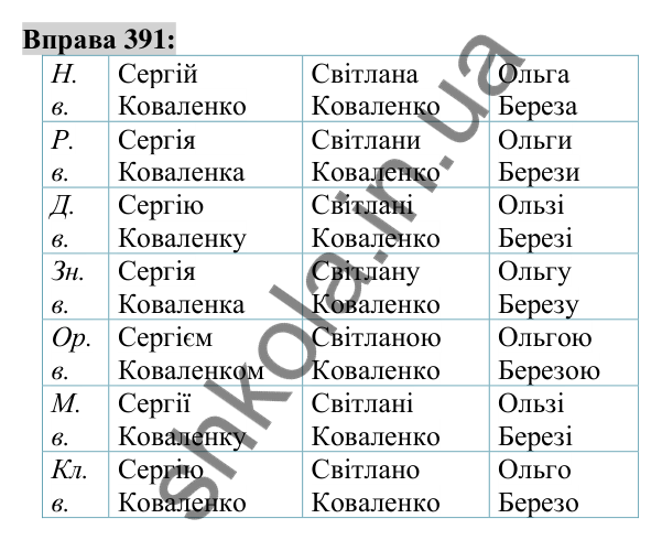 Вправа 391 Відповідь до вправи 391 (с. 143) з української мови для 6 класу (Заболотний, 2023): Іменник