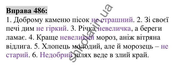 Вправа 486 Відповідь до вправи 486 (с. 181) з української мови для 6 класу (Заболотний, 2023): Прикметник