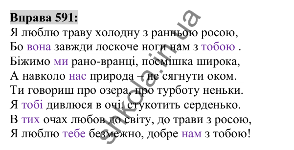 Вправа 591 Відповідь до вправи 591 (с. 222) з української мови для 6 класу (Заболотний, 2023): Займенник