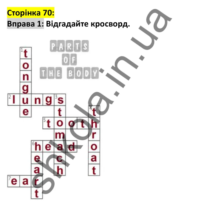 Відповідь до вправи 1, сторінка 70 - ГДЗ Англійська мова 7 клас Карпюк 2024. Робочий зошит