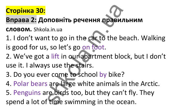 p30-v-ex2 Відповідь до вправи 2, сторінка 30 (лексика) - ГДЗ Англійська мова 7 клас Коста 2024