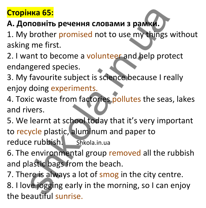 Відповідь до завдання A, сторінка 65 - ГДЗ Англійська мова 7 клас Мітчелл 2024 робочий зошит. Full Blast Plus 7 Workbook