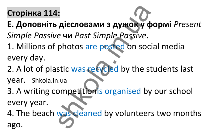 Відповідь до завдання E, Round up 7, сторінка 114 - ГДЗ Англійська мова 7 клас Мітчелл 2024. Full Blast Plus for Ukraine 7