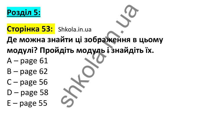 Відповідь до вступної сторінки модуля 5, сторінка 53 - ГДЗ Англійська мова 7 клас Мітчелл 2024. Full Blast Plus for Ukraine 7