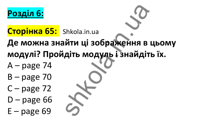 Відповідь до вступної сторінки модуля 6, сторінка 65 - ГДЗ Англійська мова 7 клас Мітчелл 2024. Full Blast Plus for Ukraine 7
