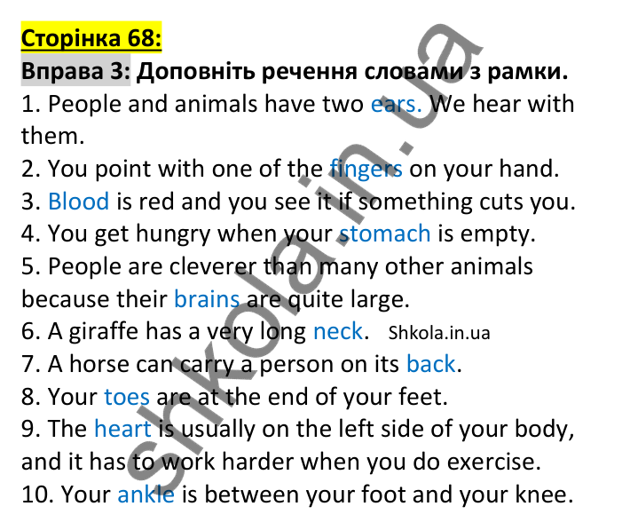 Відповідь до вправи 3, сторінка 68 (лексика) - ГДЗ Англійська мова 7 клас Коста робочий зошит 2024. Prepare 7 Workbook