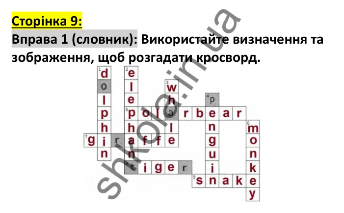 Відповідь до вправи 1, сторінка 9 (лексика) - ГДЗ Англійська мова 7 клас Коста робочий зошит 2024. Prepare 7 Workbook