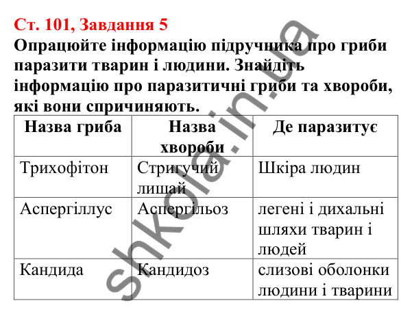 Відповідь до завдання 5 (с. 101) з біології для 7 класу (Кулініч, 2024, робочий зошит): Гриби-паразити