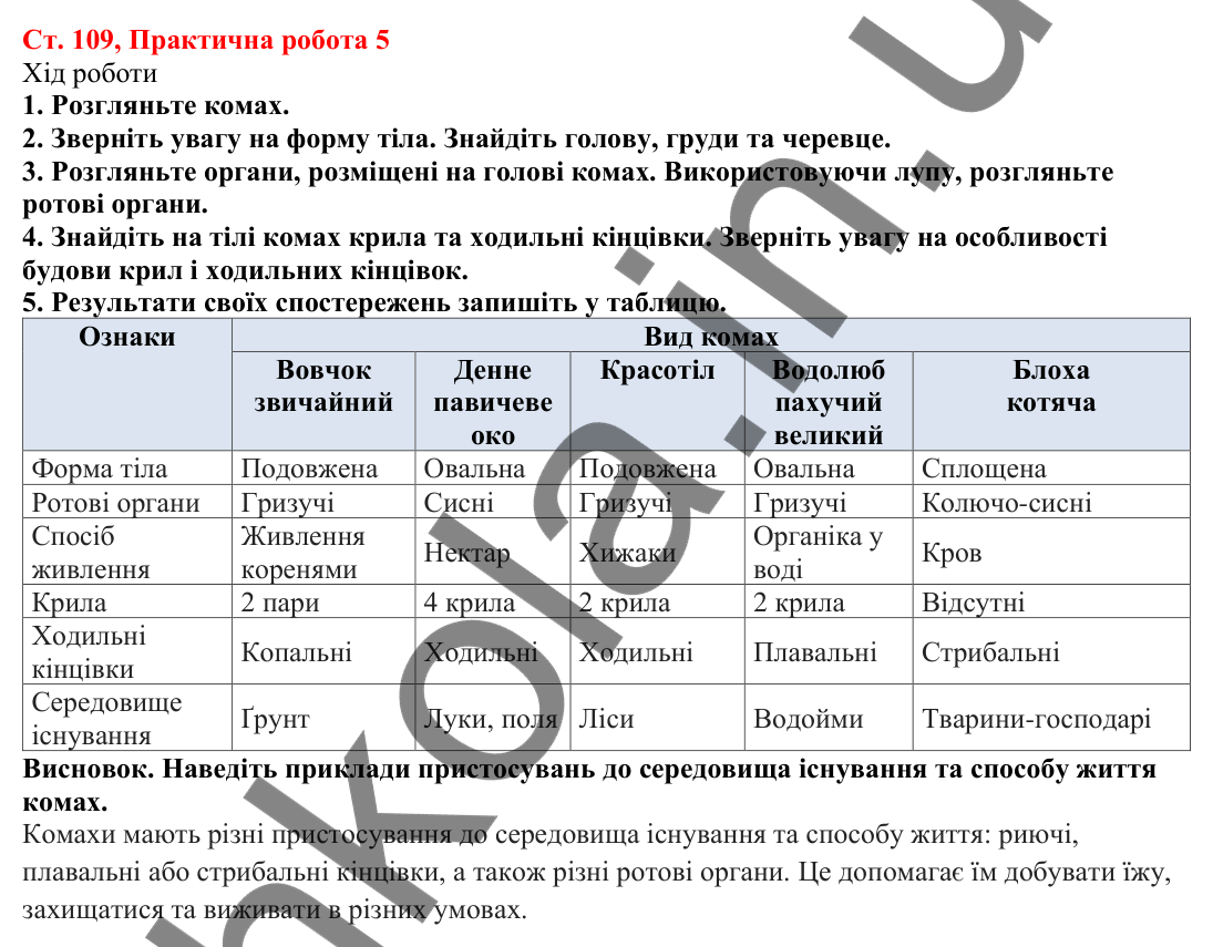Відповідь до практичної роботи 5 (с. 109) з біології для 7 класу (Кулініч, 2024, робочий зошит): Практична робота 5
