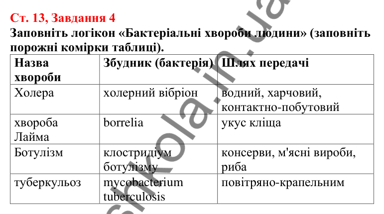 Відповідь до завдання 4 (с. 13) з біології для 7 класу (Кулініч, 2024, робочий зошит): Яка роль прокаріотів у житті людини
