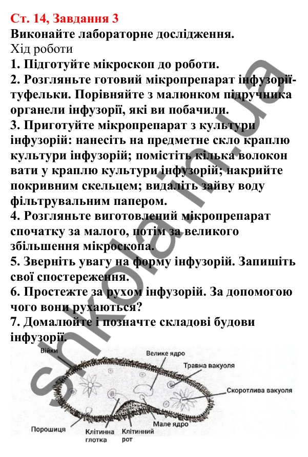 Відповідь до завдання 3 (с. 14) з біології для 7 класу (Кулініч, 2024, робочий зошит): Які особливості організації клітин одноклітинних евкаріотів