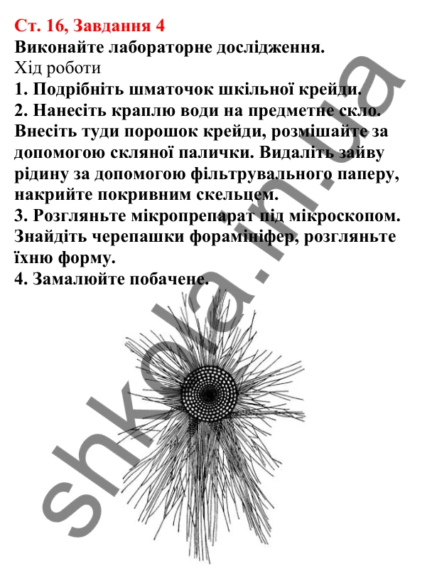 Відповідь до завдання 4 (с. 16) з біології для 7 класу (Кулініч, 2024, робочий зошит): Які одноклітинні евкаріоти мешкають у прісних водоймах і морях