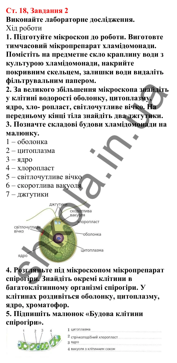 Відповідь до завдання 2 (с. 18) з біології для 7 класу (Кулініч, 2024, робочий зошит): Які бувають водорості. Зелені водорості
