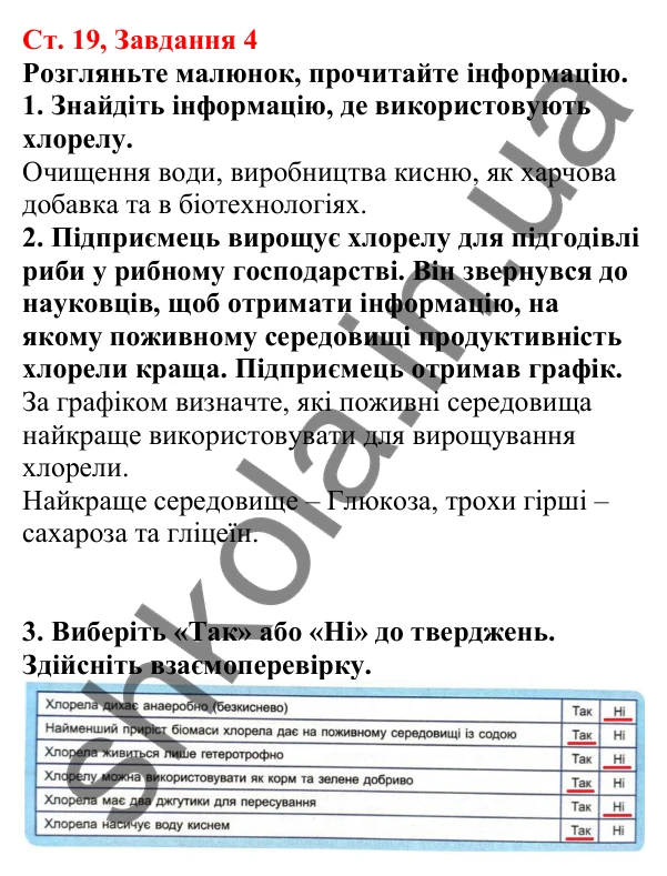 Відповідь до завдання 4 (с. 19) з біології для 7 класу (Кулініч, 2024, робочий зошит): Які бувають водорості. Зелені водорості
