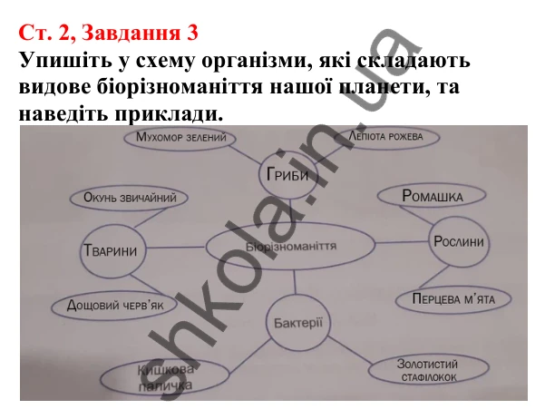 Відповідь до завдання 3 (с. 2) з біології для 7 класу (Кулініч, 2024, робочий зошит): Яке біорізноманіття нашої планети та рівні його організації