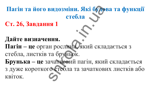 Відповідь до завдання 1 (с. 26) з біології для 7 класу (Кулініч, 2024, робочий зошит): Пагін та його видозміни. Які будова та функції стебла