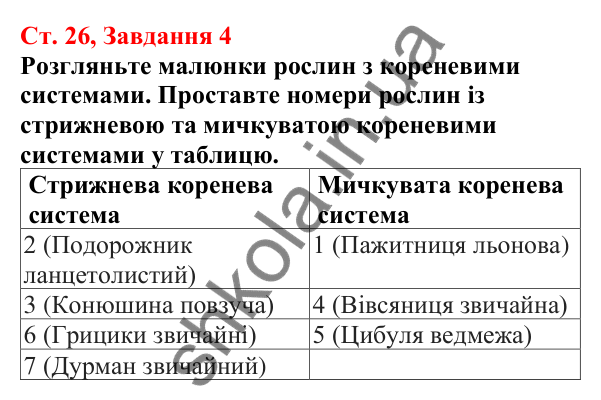 Відповідь до завдання 4 (с. 26) з біології для 7 класу (Кулініч, 2024, робочий зошит): Вегетативні органи рослин. Корінь