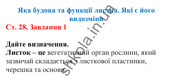 Відповідь до завдання 1 (с. 28) з біології для 7 класу (Кулініч, 2024, робочий зошит): Яка будова та функції листка. Які є його видозміни