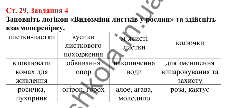 Відповідь до завдання 4 (с. 29) з біології для 7 класу (Кулініч, 2024, робочий зошит): Яка будова та функції листка. Які є його видозміни