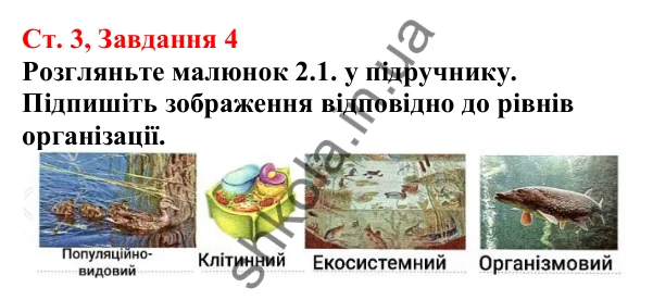 Відповідь до завдання 4 (с. 3) з біології для 7 класу (Кулініч, 2024, робочий зошит): Яке біорізноманіття нашої планети та рівні його організації