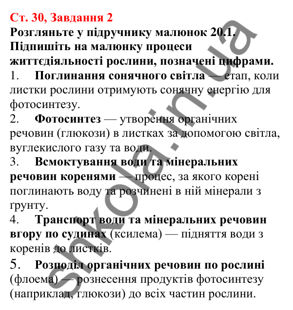 Відповідь до завдання 2 (с. 30) з біології для 7 класу (Кулініч, 2024, робочий зошит): Як взаємодіють між собою різні органи рослини. Рухи рослин