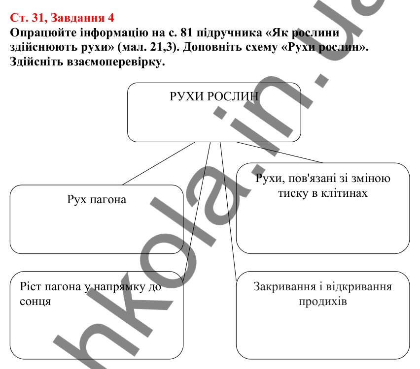 Відповідь до завдання 4 (с. 31) з біології для 7 класу (Кулініч, 2024, робочий зошит): Як взаємодіють між собою різні органи рослини. Рухи рослин