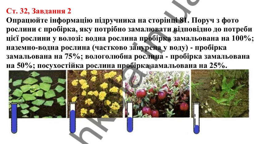 Відповідь до завдання 2 (с. 32) з біології для 7 класу (Кулініч, 2024, робочий зошит): Як вищі рослини пристосовуються до умов існування