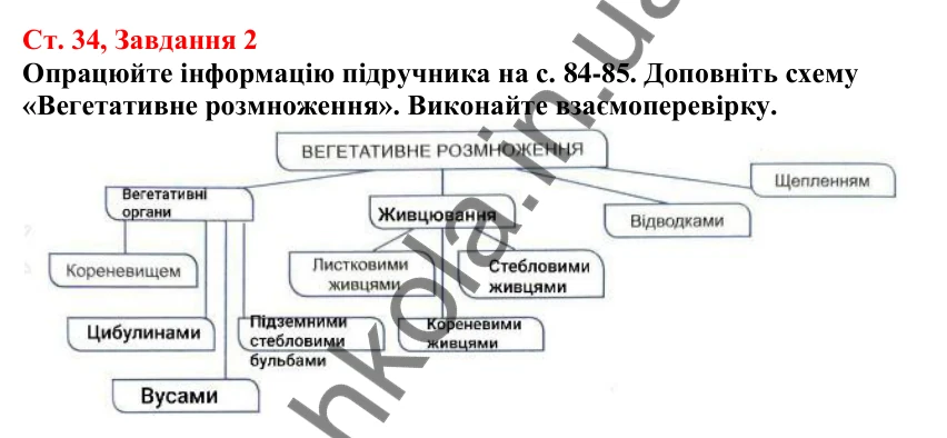 Відповідь до завдання 2 (с. 34) з біології для 7 класу (Кулініч, 2024, робочий зошит): Розмноження та життєві цикли вищих рослин