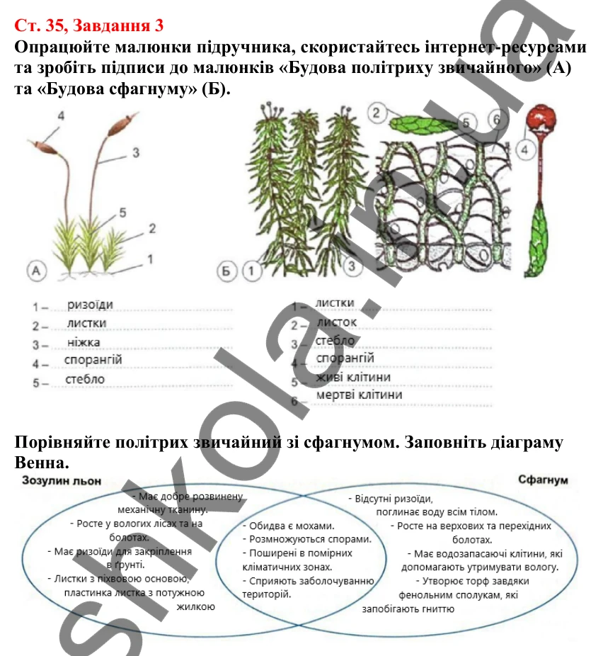 Відповідь до завдання 3 (с. 35) з біології для 7 класу (Кулініч, 2024, робочий зошит): Вищі спорові рослини. Мохоподібні