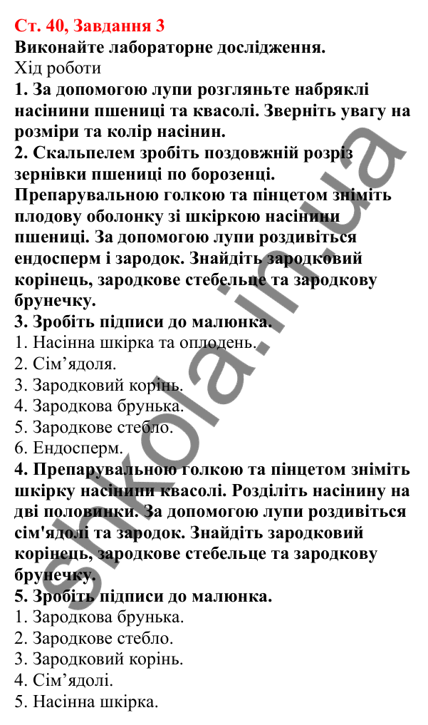 Відповідь до завдання 3 (с. 40) з біології для 7 класу (Кулініч, 2024, робочий зошит): Насінні рослини. Будова насінини