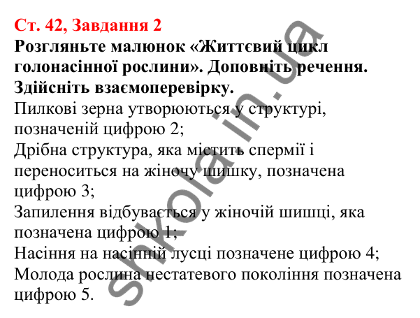 Відповідь до завдання 2 (с. 42) з біології для 7 класу (Кулініч, 2024, робочий зошит): Голонасінні