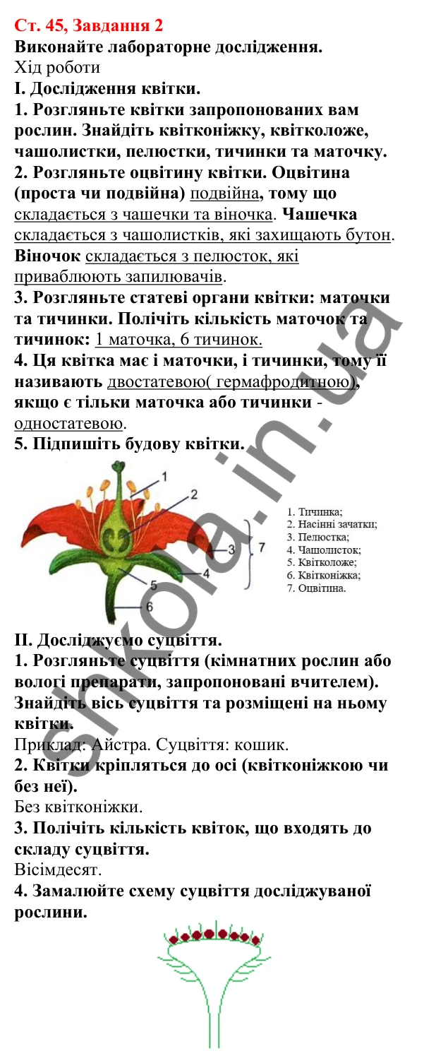 Відповідь до завдання 2 (с. 45) з біології для 7 класу (Кулініч, 2024, робочий зошит): Покритонасінні, або Квіткові