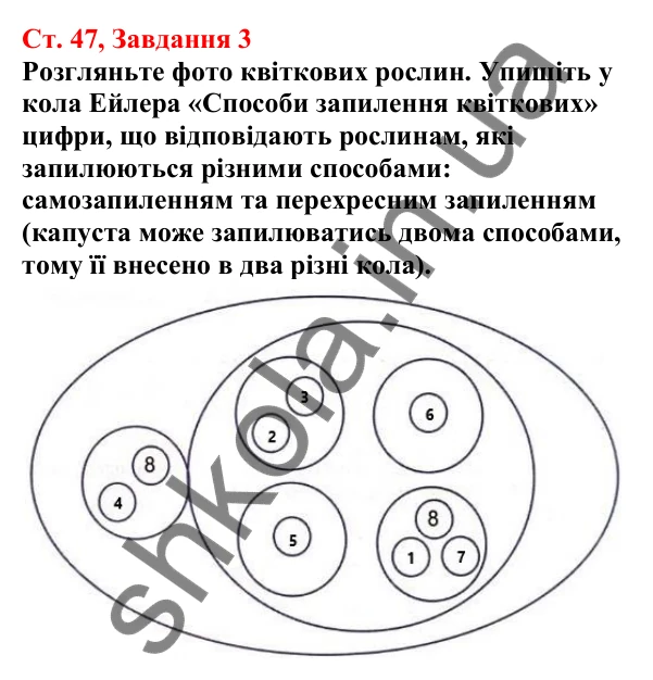 Відповідь до завдання 3 (с. 47) з біології для 7 класу (Кулініч, 2024, робочий зошит): Запилення. Запліднення