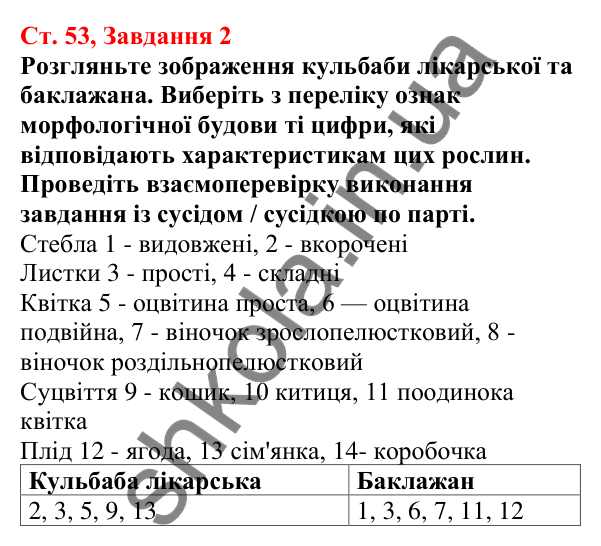 Відповідь до завдання 2 (с. 53) з біології для 7 класу (Кулініч, 2024, робочий зошит): Дводольні: Пасльонові, Айстрові