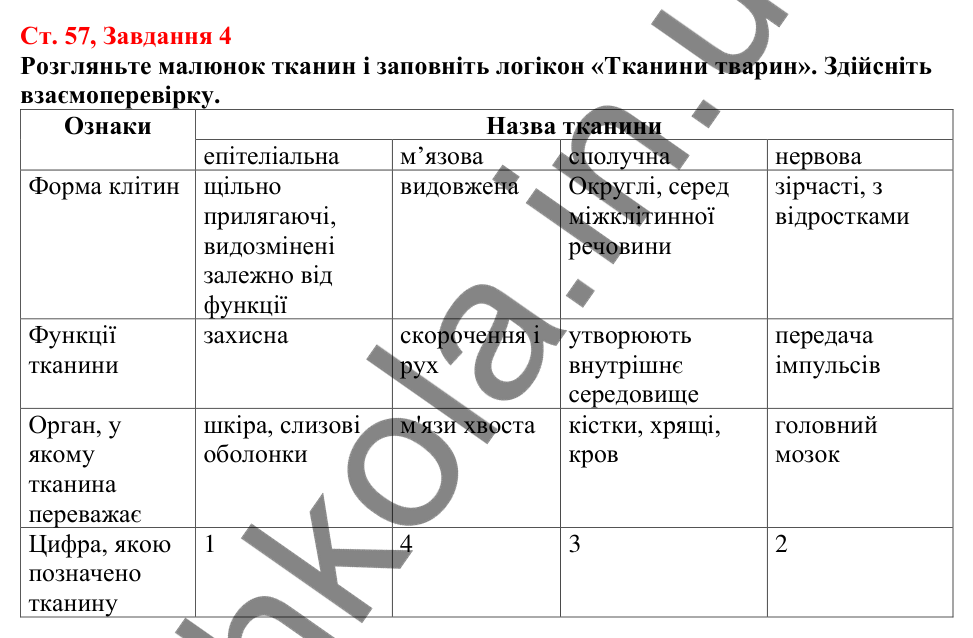 Відповідь до завдання 4 (с. 57) з біології для 7 класу (Кулініч, 2024, робочий зошит): Які ознаки тварин. Тканини тварин