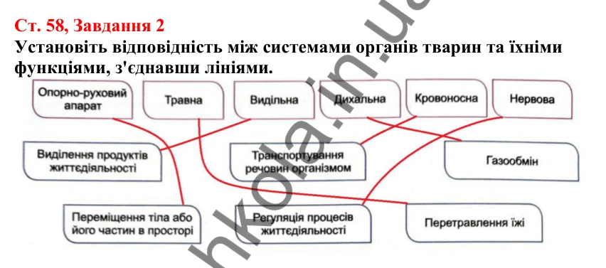 Відповідь до завдання 2 (с. 58) з біології для 7 класу (Кулініч, 2024, робочий зошит): Органи та системи органів. Регуляція життєвих функцій